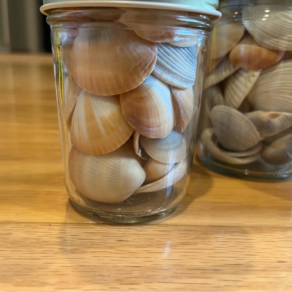 Decorative Seashell Jars - Picture 2 of 3